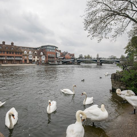 Stroll along the River Thames, right on your doorstep
