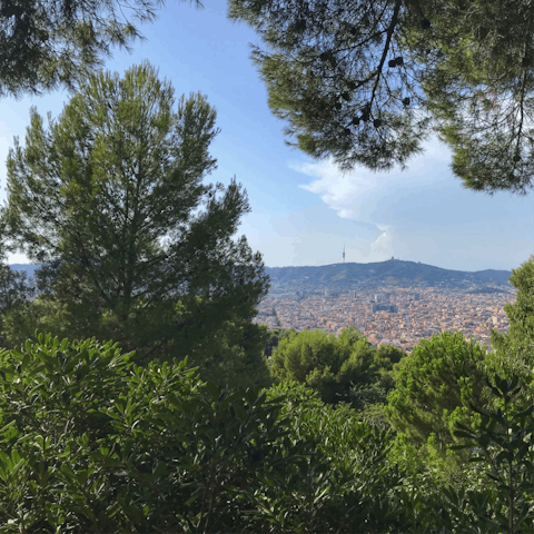 Soak up the scenery as you stroll around Parc de Montjuïc