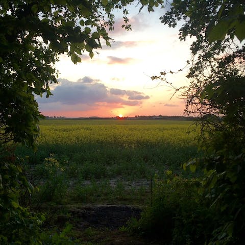 Catch the sunset from your garden, enjoying the view with a nice glass of wine in hand