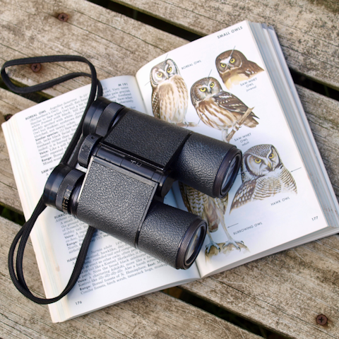 Admire the wildlife of Lake Burano and the nature reserve