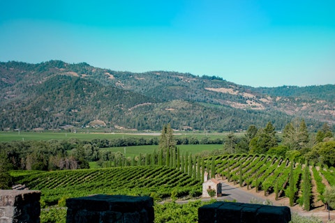 Check out Nicholson Ranch Winery, just a short drive away