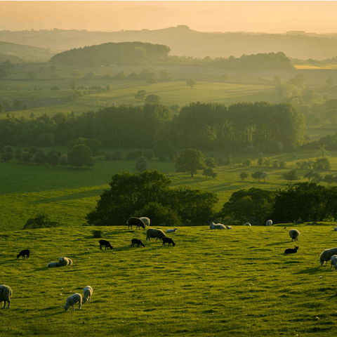Explore the surrounding hamlets and villages of West Dorset