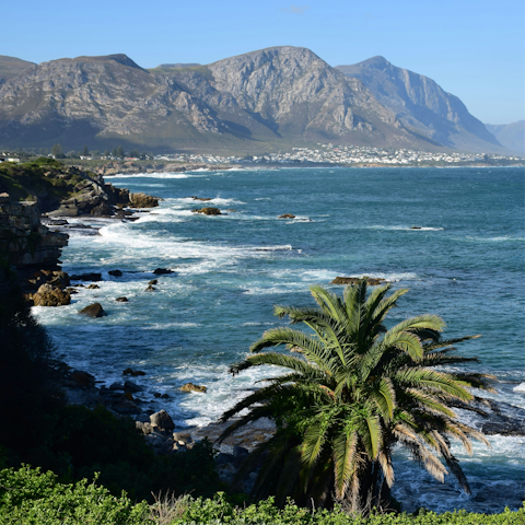 Stay on the Hermanus Cliff Path, just steps from the ocean