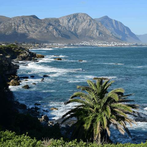 Stay on the Hermanus Cliff Path, just steps from the ocean