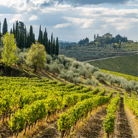 Visit the vineyards of Chianti – you don't need to drive far