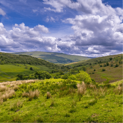 Go for a bracing walk in the beautiful Yorkshire Dales, which can be reached in ten minutes by car