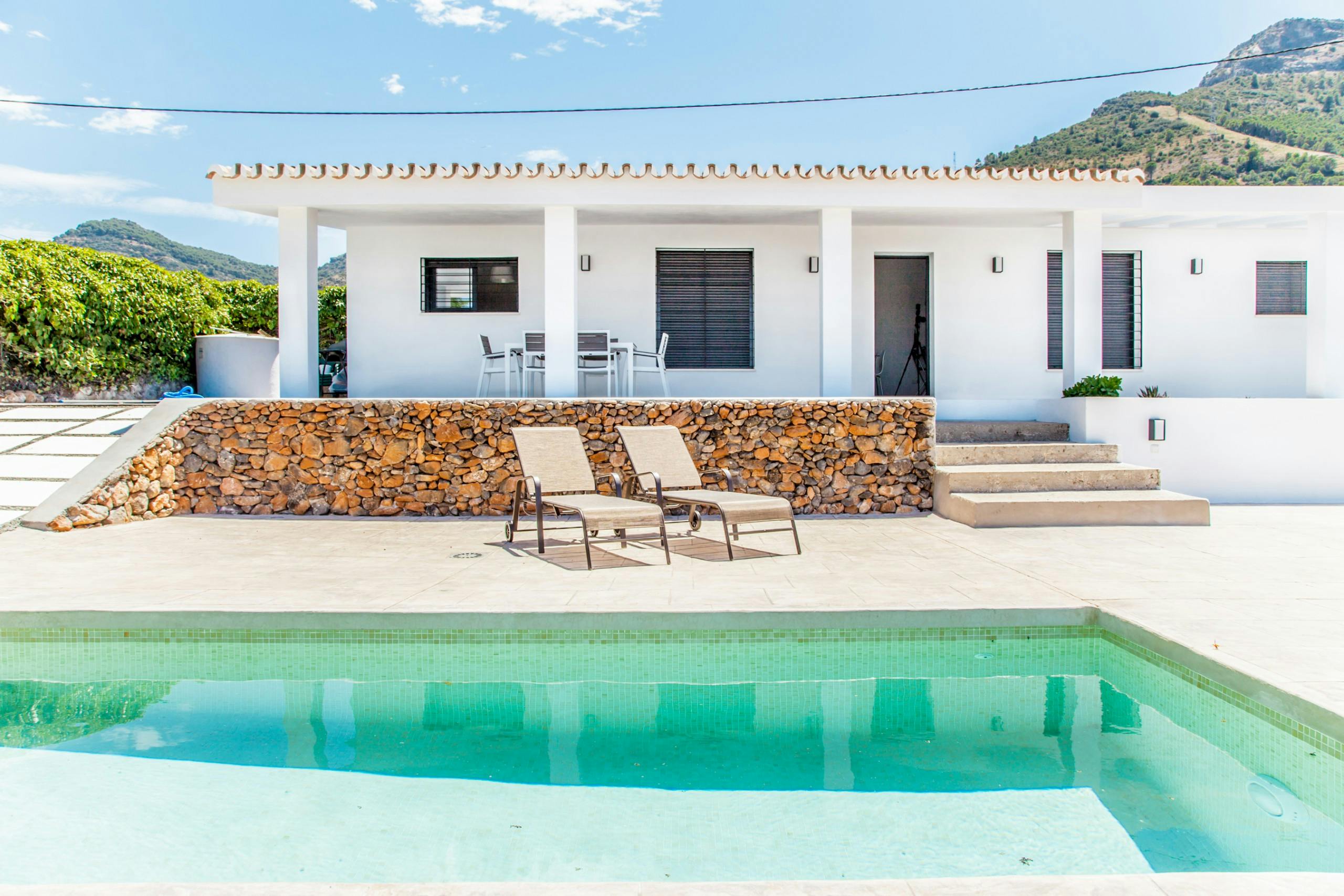 Between The Palm Leaves