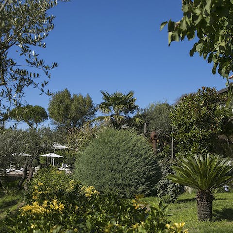 Let the kids run while in the garden and surround yourself with lush foliage and gorgeous nature