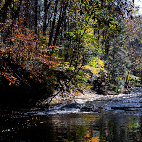 Drive to the start of the River Place Nature Trial and uncover the beauty of Austin whilst hiking