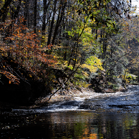 Drive to the start of the River Place Nature Trial and uncover the beauty of Austin whilst hiking