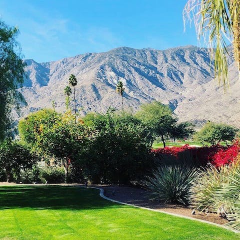 Stay on the South Course of the Indian Canyons Golf Resort