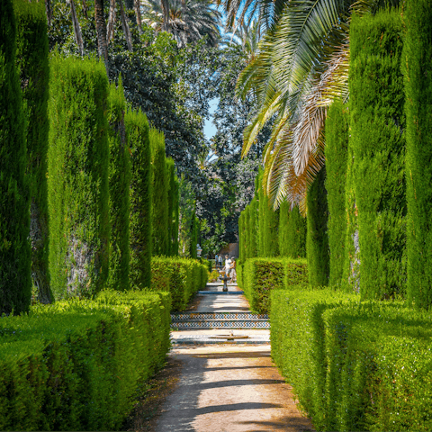 Start your sightseeing at Jardines Alcazares