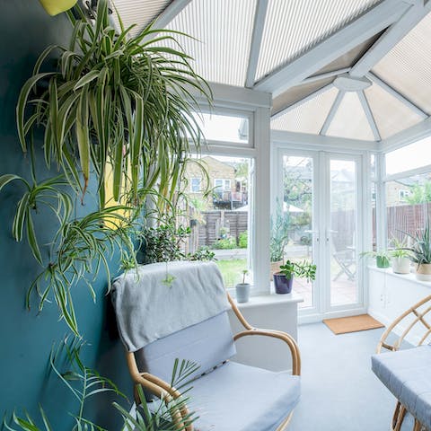 Find a quiet spot in the conservatory to sit and read surrounded by nature