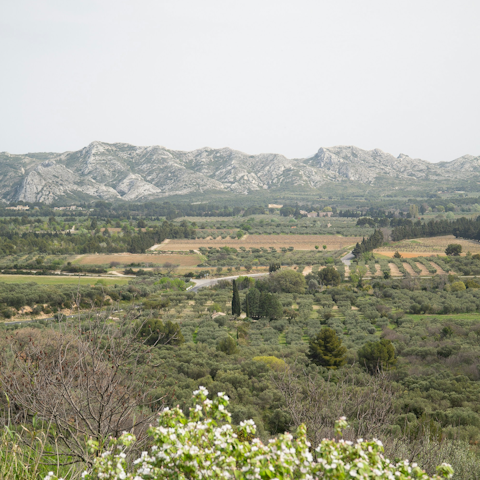 Choose from numerous Alpilles hiking trails on your doorstep