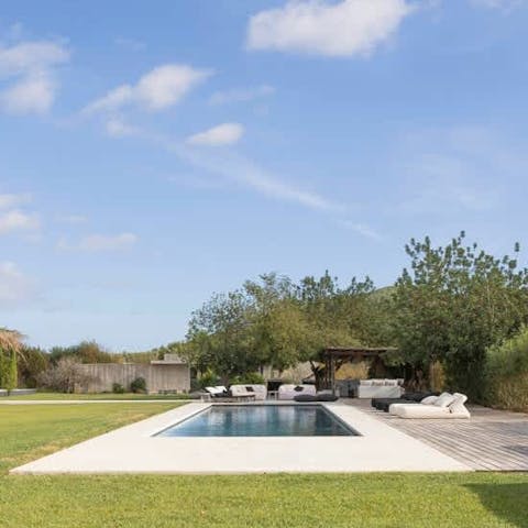 Unwind by the pool surrounded by ancient olive trees