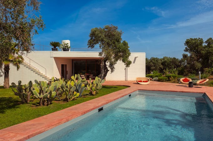 Puglia Grove