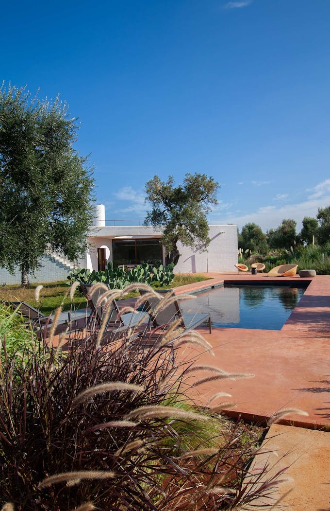 Puglia Grove