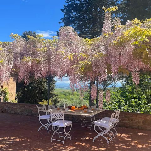 Dine on traditional Italian dishes beneath the blooming wisteria