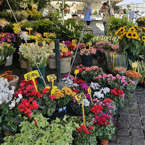 Browse the colourful market stalls of Campo de' Fiori