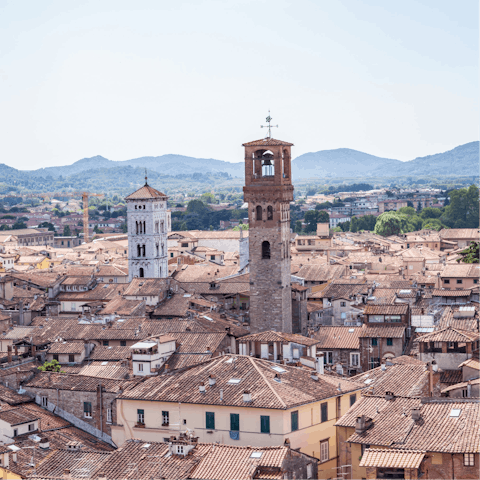 Visit Lucca's treasures including the nearby Guinigi Tower and Piazza Anfiteatro