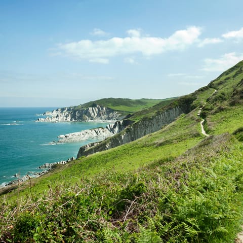 Explore the beautiful Devonshire coast