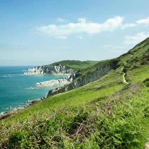 Explore the beautiful Devonshire coast