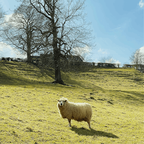 Enjoy a scenic stroll along the Macmillan Way