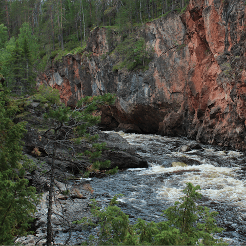 Explore the beautiful landscapes of Sotkamo, right on your doorstep