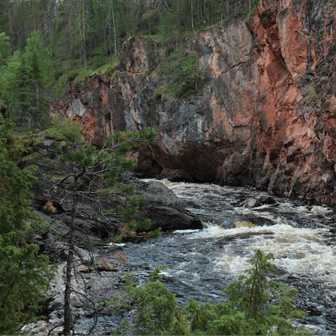Explore the beautiful landscapes of Sotkamo, right on your doorstep