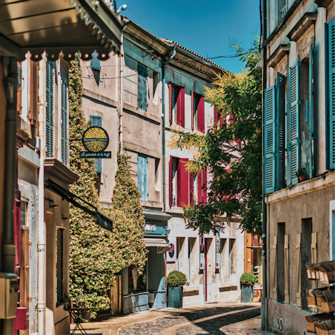 Explore the village of Saint-Rémy-de-Provence, just 10 kilometres away