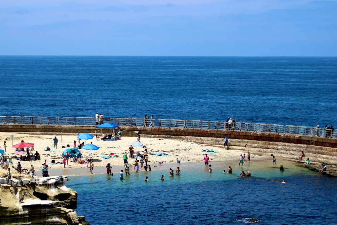 Cove & Current