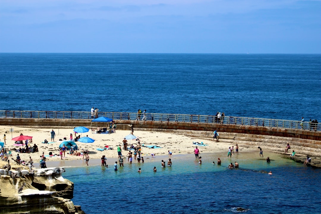 Cove & Current