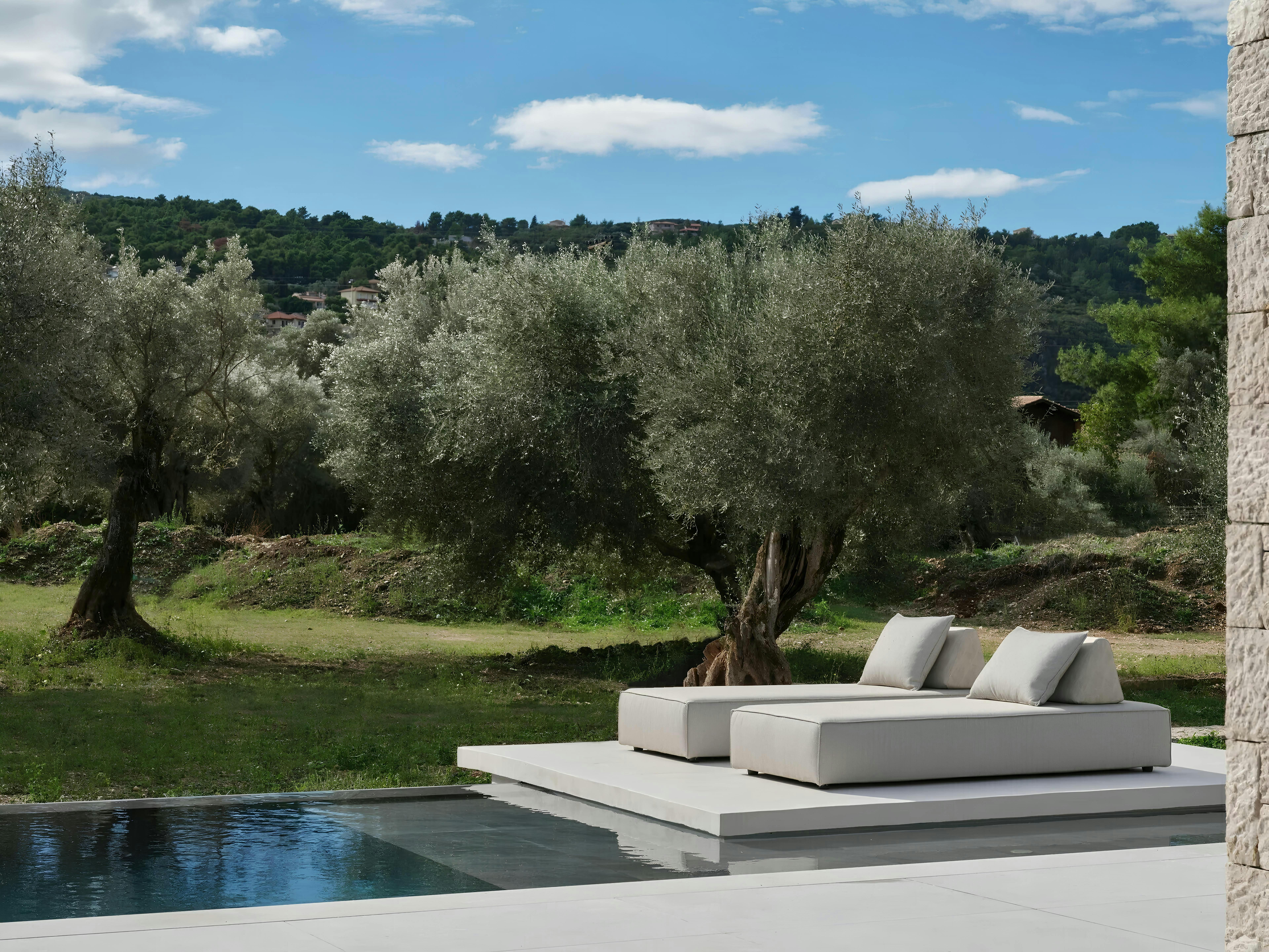Olive Paradise