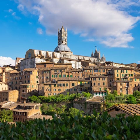 Spend a day exploring stunning Siena – you can drive there in thirty minutes