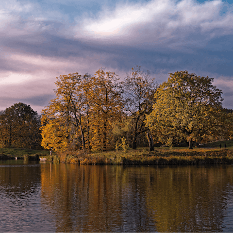 Explore Hampstead Heath – just a short stroll away