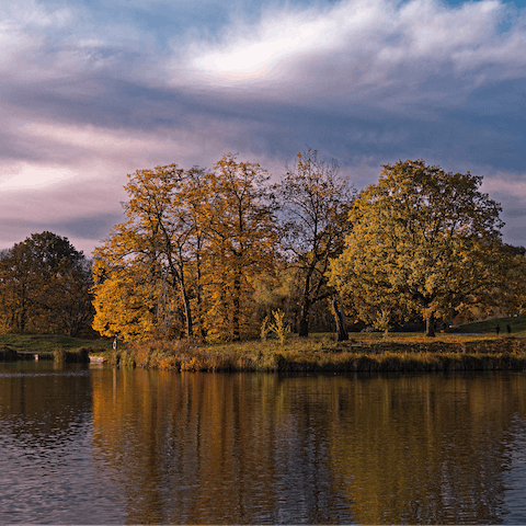 Explore Hampstead Heath – just a short stroll away