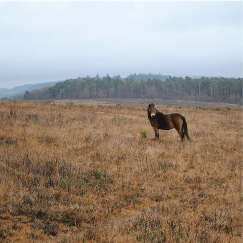 Enjoy countryside walks – Exmoor National Park is within easy reach