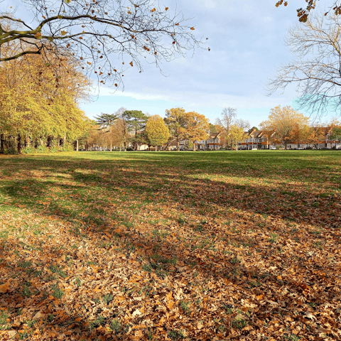 Enjoy leisurely strolls while exploring Croydon