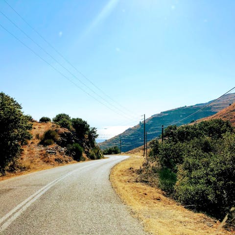 Hit the road and explore the idyllic island of Kea in a single day