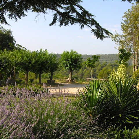 Go hiking or mountain biking through the valley of La Torre de Claramunt
