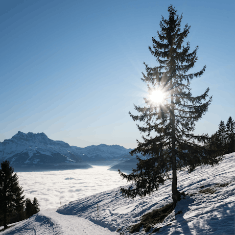 Ride the ski lifts to visit the snowy pistes