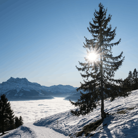 Ride the ski lifts to visit the snowy pistes