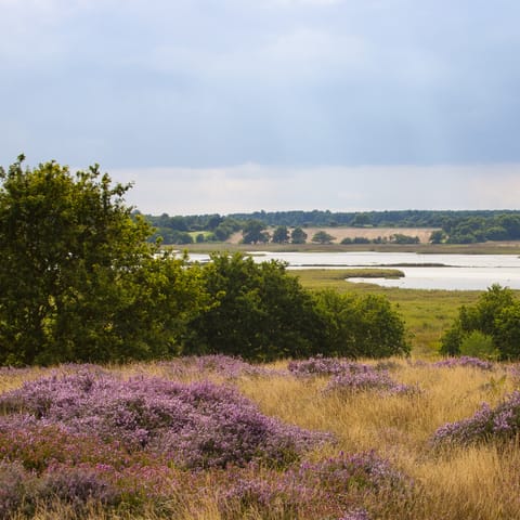 Make the most of the rural location and explore Minsmere Nature Reserve, twenty-five minutes' drive away