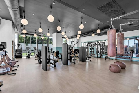 Train hard in a fully equipped gym with garden views