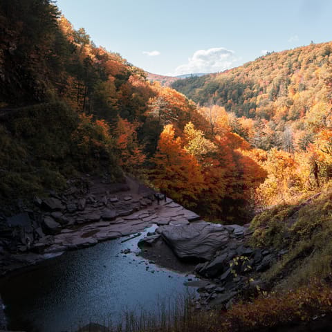 Fish in Willowmoc Creek – you have direct access to it from this home