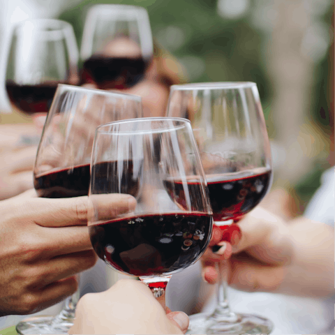 Sample the Dordogne wines at a local vineyard