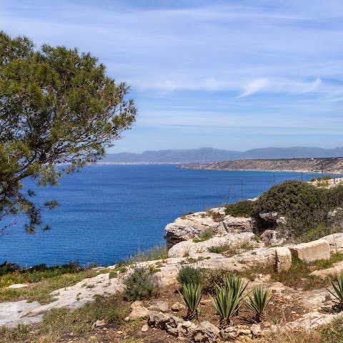 Swim along the majestic and rugged coastline of El Dorado, a short walk away