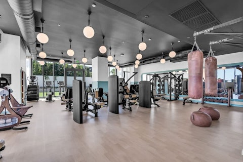 Train hard in a fully equipped gym with natural light