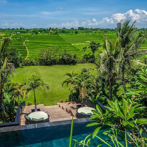 Soak up never-ending green views over the rice fields from the rooftop terrace