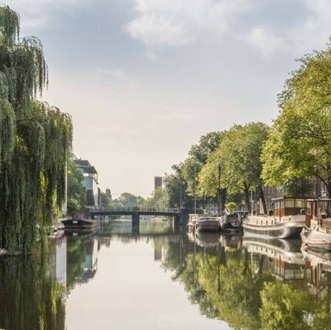 Discover the Plantage district, Amsterdam’s cultural garden